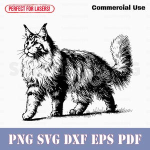Portrait de chat Maine Coon svg png dxf eps pdf | graphique vectoriel découpé fichier laser graver clip art | Téléchargement numérique instantané, utilisation commerciale