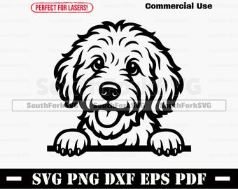 Peeking Goldendoodle SVG + PNG Set - Peeking Golden Doodle Dog Clipart ...