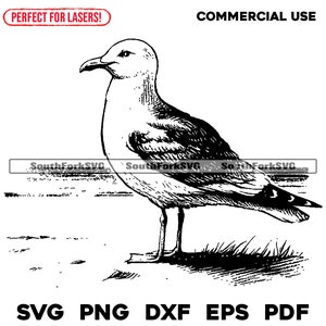File di incisione laser Gabbiano svg png dxf eps pdf / grafica vettoriale progettazione taglio stampa incisione sublimatica cnc file digitali uso commerciale