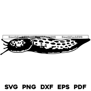 Limace escargot Vector Design svg png dxf eps pdf | gravure laser cnc découpé impression colorant sub fichiers clip art | Téléchargement numérique instantané, utilisation commerciale