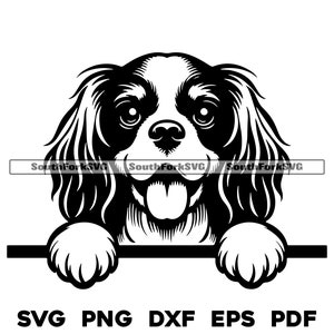 Peeking King Charles Spaniel Dog Head svg png dxf eps pdf | graphique vectoriel découpé fichier laser clip art | Téléchargement numérique instantané, utilisation commerciale