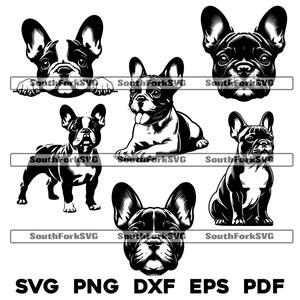 Pacote de design de buldogue francês | svg png dxf eps pdf | gráfico de vetor cortado arquivo clip art a laser | download digital instantâneo para uso comercial
