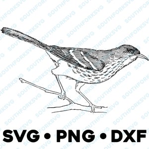 Brown Thrasher SVG PNG DXF vector graphic design image clip art horned owl barn owl robin songbird cardinal titmouse starling blue jay