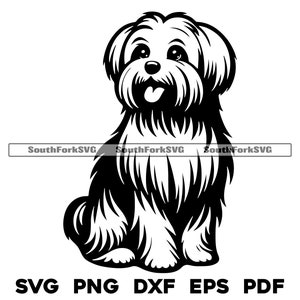 Maltese Dog Sitting Design | svg png dxf eps pdf | vector graphic cut file laser clip art | instant digital download commercial use