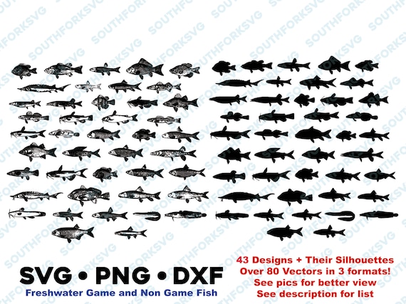 Freshwater Game & Non Game Fish Silhouettes Mega Bundle SVG PNG DXF Vector  Graphic Design Bass Crappie Pike Musky Catfish Sucker -  Canada