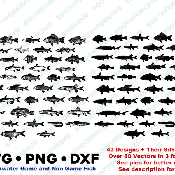 Freshwater Game & Non Game Fish + Silhouettes mega bundle SVG PNG DXF vector graphic design  bass crappie pike musky catfish sucker