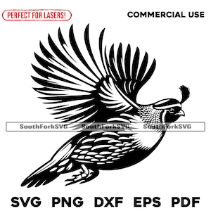 Flying Quail svg png dxf eps pdf | vector graphic design cut print dye sub laser engrave cnc digital files commercial use