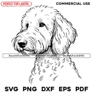 Labradoodle Portrait svg png dxf eps pdf | vector graphic cut file laser clip art | instant digital download commercial use