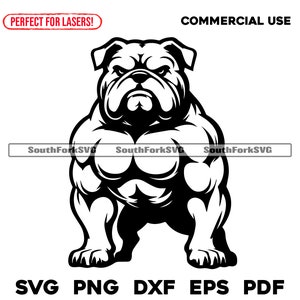 Bulldog Middle High School Sports Team Mascot / svg png dxf eps pdf / diseño de gráficos vectoriales corte impresión tinte sub láser archivos digitales