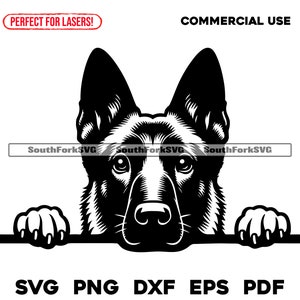 Belgischer Malinois Hund späht Design | svg png dxf eps pdf | Vektorgrafik Datei Laser Clip Art schneiden | sofortiger digitaler Download kommerzielle Nutzung