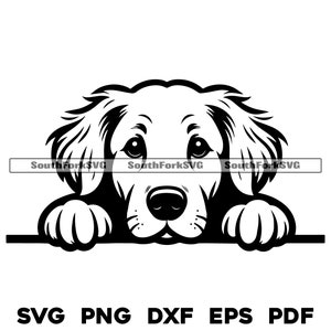 Peeking Golden Retriever Dog Head Design svg png dxf eps pdf vector graphic cut file laser clip art instant digital download commercial use