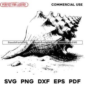 Lasergraveerbestand Conch Sea Shell on the Beach | svg png dxf eps pdf | transparant vector grafisch ontwerp gesneden print kleurstof sub commercieel gebruik