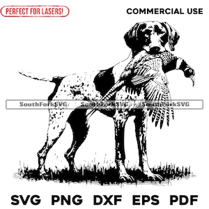 Braco alemán de pelo corto, faisán, archivos de grabado láser svg, png, dxf, eps, pdf / diseño gráfico vectorial, impresión, sublimación de tinta, cnc, uso comercial digital