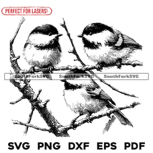 May include: Black and white line art illustration of three birds perched on branches. The birds are facing different directions and have detailed feathers. The branches are bare and have small thorns.