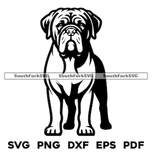 Bordeauxdog staand hond | svg png dxf eps pdf | vectorafbeelding snijbestand laserclipart | direct digitaal downloaden voor commercieel gebruik