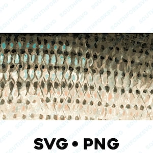 Motif de peau de bar blanc rayé Striper SVG PNG DXF truite bar brochet maskinongé marigane pêche à la mouche conception vecteur pêche chasse 1