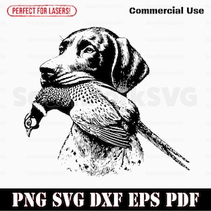 Braco alemán de pelo corto, perro de caza de faisán / svg png dxf eps pdf / archivo de corte vectorial, clip art láser, descarga instantánea, uso comercial