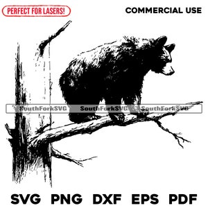 Schwarzer Bär in einem Baum Lasergravur-Dateien svg png dxf eps pdf | Vektorgrafik Design Cut Print Dye sub cnc digitale Datei Kommerzielle Nutzung