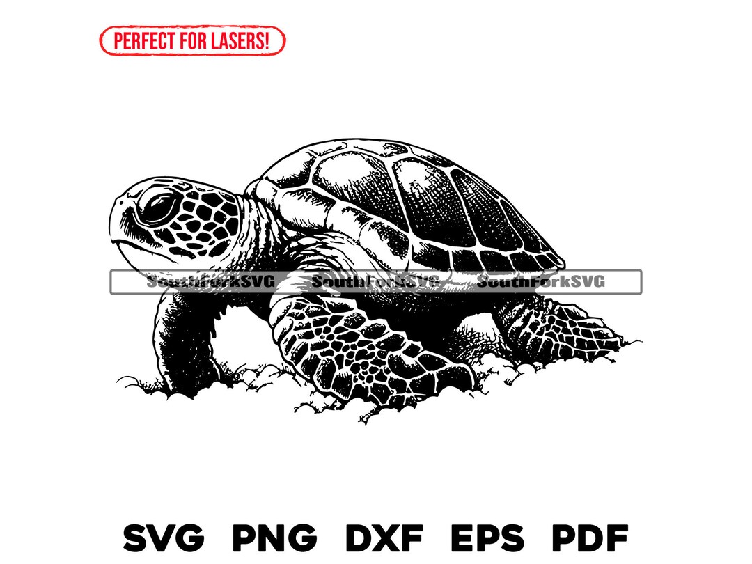 Baby Sea Turtle in Sand Laser File Svg Png Dxf Eps Pdf | Vector Graphic ...