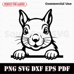 Pode incluir: Gráfico a preto e branco de um esquilo com olhos grandes e bigodes, espreitando por cima de uma linha horizontal. A imagem inclui o texto "PNG SVG DXF EPS PDF" e "Commercial Use". Uma faixa vermelha diz "PERFECT FOR LASERS!"