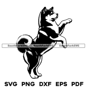 Akita Hund auf Hinterbeinen stehend | svg png dxf eps pdf | Vektorgrafik Datei Laser Clip Art schneiden | sofortiger digitaler Download kommerzielle Nutzung