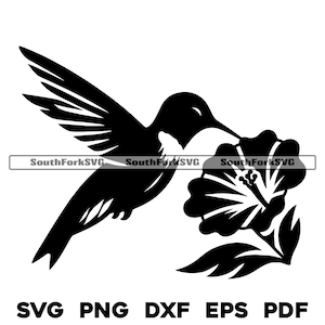 Hummingbird Feeding svg png dxf eps pdf / incisione laser taglio stampa file grafica vettoriale clip art download digitale istantaneo uso commerciale