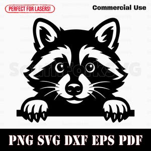 Guaxinim espiando svg png dxf eps pdf design gráfico vetorial corte estêncil sublimação impressão a laser gravação arquivos download instantâneo uso comercial