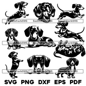 Bundel teckel Weiner hondenras | svg png dxf eps pdf | vectorafbeelding snijbestand laserclipart | direct digitaal downloaden voor commercieel gebruik