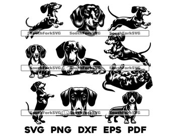 Paquete de raza de perro Dachshund Weiner / svg png dxf eps pdf / archivo de corte gráfico vectorial clip art láser / descarga digital instantánea para uso comercial