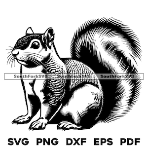 Fichiers de conception écureuil svg png dxf eps pdf | Conception graphique vectorielle découpée, impression, teinture, sous, gravure laser, cnc, fichiers numériques, utilisation commerciale