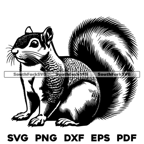 Squirrel Design Files svg png dxf eps pdf | vector graphic design cut print dye sub laser engrave cnc digital files commercial use