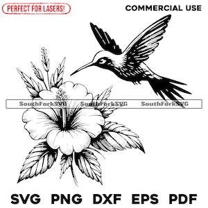 File di incisione laser per alimentazione di colibrì svg png dxf eps pdf / grafica vettoriale progettazione taglio stampa dye sub cnc file digitale uso commerciale
