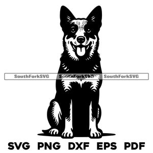 Blue Heeler Siedzący Projekt 2 | svg png dxf eps pdf | grafika wektorowa plik cięty laserowo clipart | natychmiastowe pobieranie cyfrowe do użytku komercyjnego