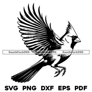 Fliegen Kardinal Vogel Design | svg png dxf eps pdf | Vektorgrafik Datei Laser Clip Art schneiden | sofortiger digitaler Download kommerzielle Nutzung