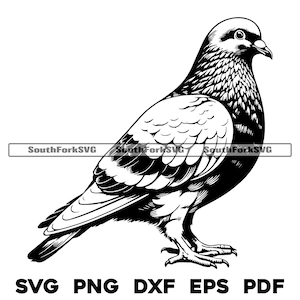 Ontwerp met duifvogel | svg png dxf eps pdf | vectorafbeelding snijbestand laserclipart | direct digitaal downloaden voor commercieel gebruik