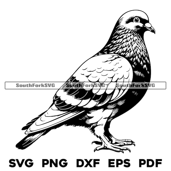 Conception d’oiseau pigeon | svg png dxf eps pdf | vecteur graphique coupe fichier laser clip art | utilisation commerciale de téléchargement numérique instantané