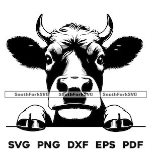 Kuh-Spähen svg png dxf eps pdf | transparente Vektorgrafik Design Cut Print Dye sub Laser graviert Dateien Kommerzielle Nutzung