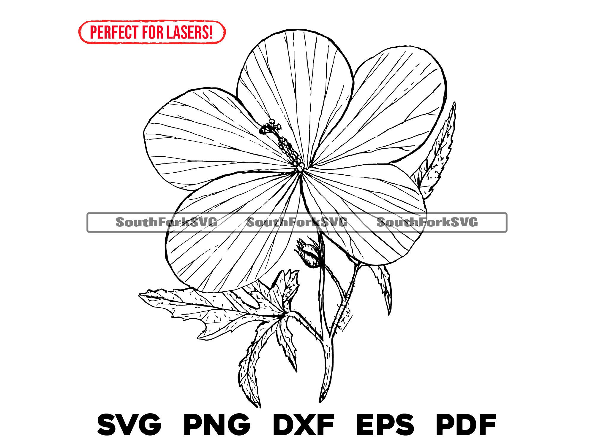 Hibiscus Flower Design | Svg Png Dxf Eps Pdf | Vector Graphic Cut File ...