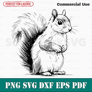 Fichier de gravure laser Écureuil mignon svg png dxf eps pdf | Conception graphique vectorielle coupe impression fichiers numériques cnc sub laser à colorant utilisation commerciale