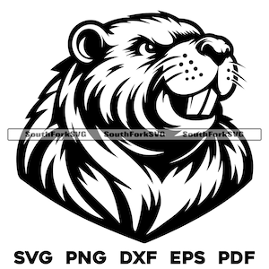 Beaver Head Middle High School Sports Team Mascot Design svg png dxf eps pdf | vector graphics design cut print dye sub laser digital files