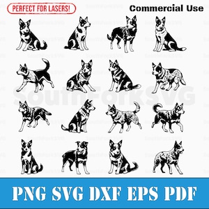 Simple Blue Heeler Bundle Pack svg png dxf eps pdf | plik grafiki wektorowej cięty laserowo clipart | natychmiastowe pobieranie cyfrowe do użytku komercyjnego