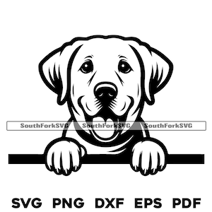 Peeking White Labrador Retriever Dog svg png dxf eps pdf | vector graphic cut file laser clip art instant digital download commercial use