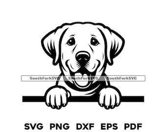 Peeking White Labrador Retriever Dog svg png dxf eps pdf | vector graphic cut file laser clip art instant digital download commercial use