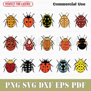 Coccinelle a strati per colore Bundle svg png dxf eps pdf / trasparente grafica vettoriale design taglio stampa dye sub laser incisione file uso commerciale
