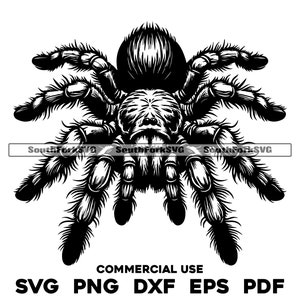 Tarantula-spinontwerp | svg png dxf eps pdf | vectorafbeelding snijbestand laserclipart | direct digitaal downloaden voor commercieel gebruik