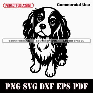 Cavalier King Charles Spaniel Betteln svg png dxf eps pdf | Vektorgrafik Schablonenschnitt Datei Laser Clip Art Druck Download kommerzielle Nutzung