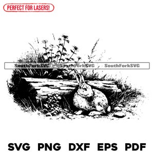 Rabbit Scene Maker Bunny Rabbit Scene Laser Engrave Files Svg Png Dxf Eps Pdf | Vector ...
