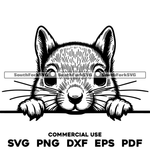 Peeking Squirrel Design Files svg png dxf eps pdf | vector graphic design cut print dye sub laser engrave cnc digital files commercial use