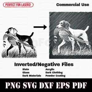 Op de afbeelding: Zwart-witte illustratie van een hond die met zijn neus naar een fazant wijst. De hond staat in hoog gras. De afbeelding is geschikt voor lasersnijden.