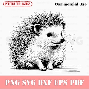 Archivo de grabado láser Hedgehog svg png dxf eps pdf / diseño gráfico vectorial corte impresión tinte sub láser grabado cnc archivos digitales uso comercial